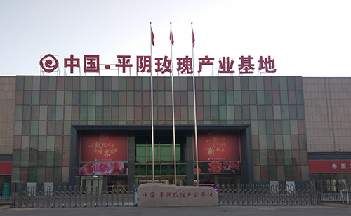 ƽ��õ���ҵ԰